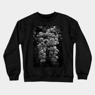 Backyard Flowers In Black And White 21 Crewneck Sweatshirt